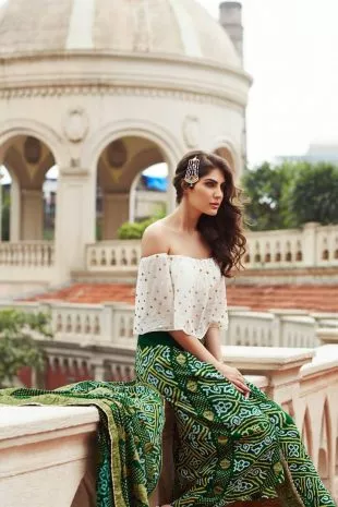 Elnaaz Norouzi Classic Indian Look Photoshoot