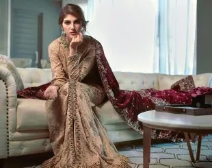 Elnaaz Norouzi Model Indian Look Saree Magazine Photoshoot